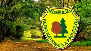 Reforma Romsilva
