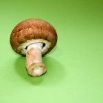 Combaterea manei și făinării la legume: ghid de tratamente cu produse disponibile pe Fitored.ro